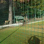 民宿 High Tatras - Patris 27 *