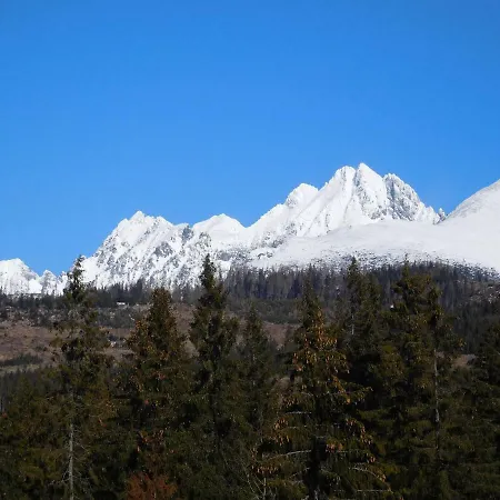 Pansiyon High Tatras - Patris 27 *