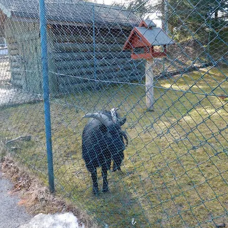 Pansiyon High Tatras - Patris 27 Tatranska Strba
