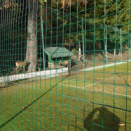 Ubytovanie v rodine High Tatras - Patris 27 *