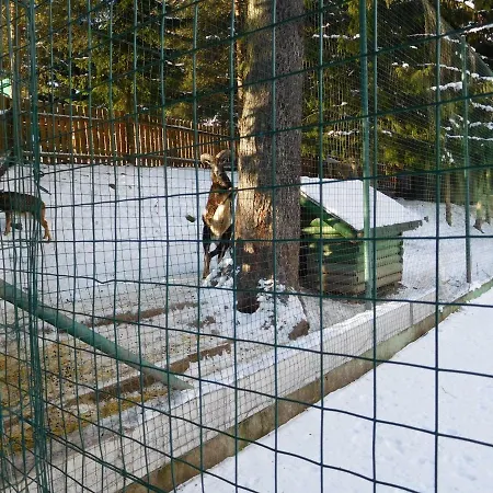 High Tatras - Patris 27 Ubytovanie v rodine Tatranska Strba