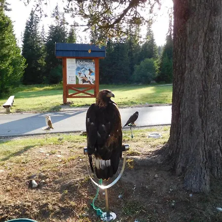 High Tatras - Patris 27 Ubytovanie v rodine *