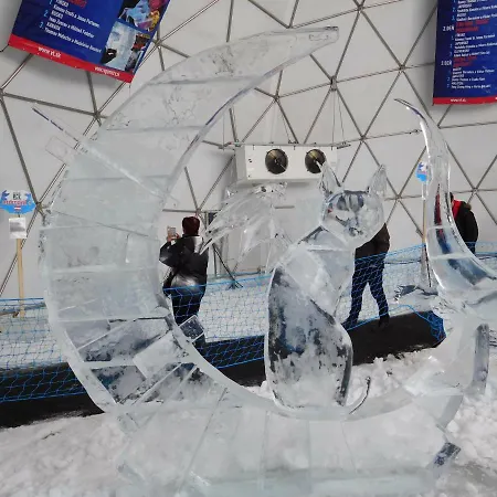 High Tatras - Patris 27 Tatranska Strba