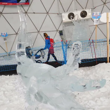 בית אירוח High Tatras - Patris 27 גולובינקה