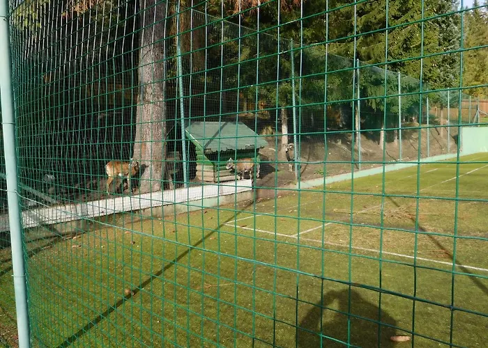 Δωμάτια σε οικογενειακή κατοικία High Tatras - Patris 27 *