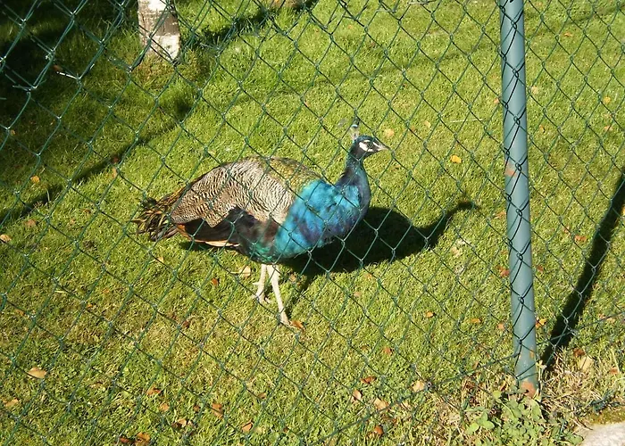 Δωμάτια σε οικογενειακή κατοικία High Tatras - Patris 27