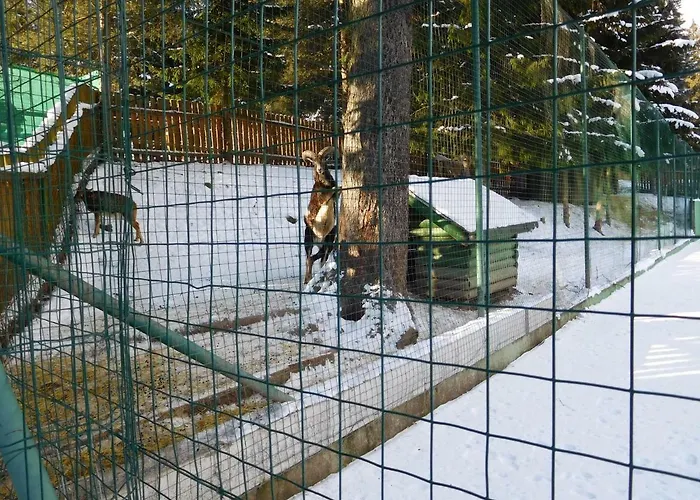 High Tatras - Patris 27 Δωμάτια σε οικογενειακή κατοικία Tatranska Strba