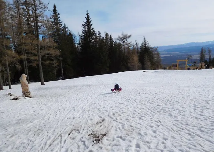 High Tatras - Patris 27 Δωμάτια σε οικογενειακή κατοικία *