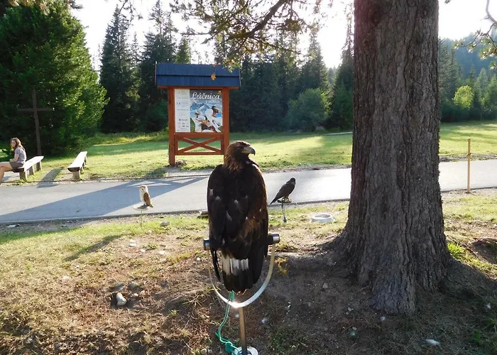 High Tatras - Patris 27 Δωμάτια σε οικογενειακή κατοικία *