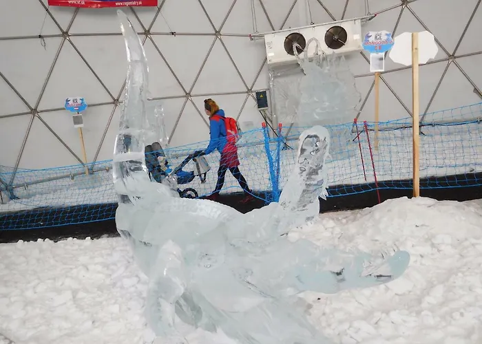 Δωμάτια σε οικογενειακή κατοικία High Tatras - Patris 27 Tatranska Strba